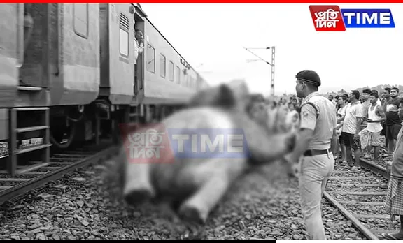 Assam: Train Mows Down Elephant In Jagiroad